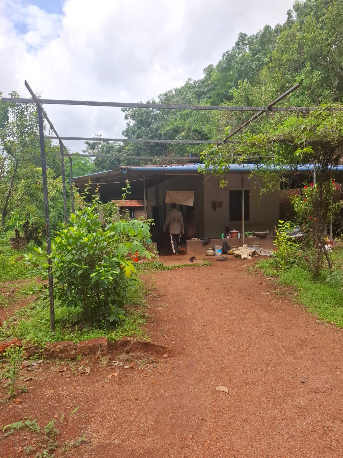 Premium 15-Acre Agricultural Estate Near Highway